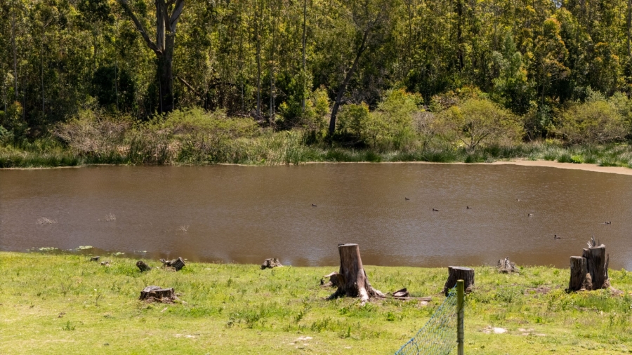 Commercial Property for Sale in Plettenberg Bay Rural Western Cape